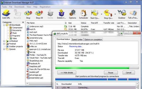 Internet Download Manager v6.40