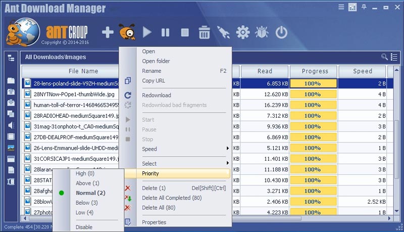 Ant Download Manager Pro 2.5