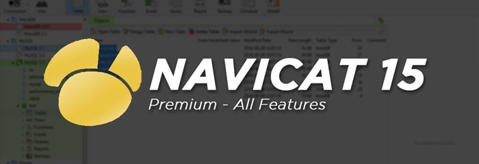 Navicat Premium 15.0.25 (Win/Mac)