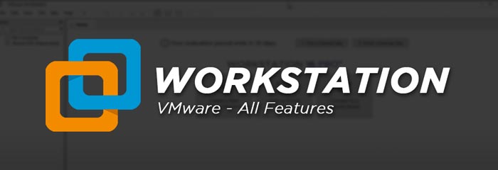VMware Workstation Pro 16.2.1 (Win/Linux)